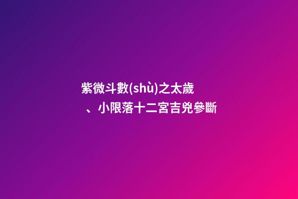 紫微斗數(shù)之太歲、小限落十二宮吉兇參斷